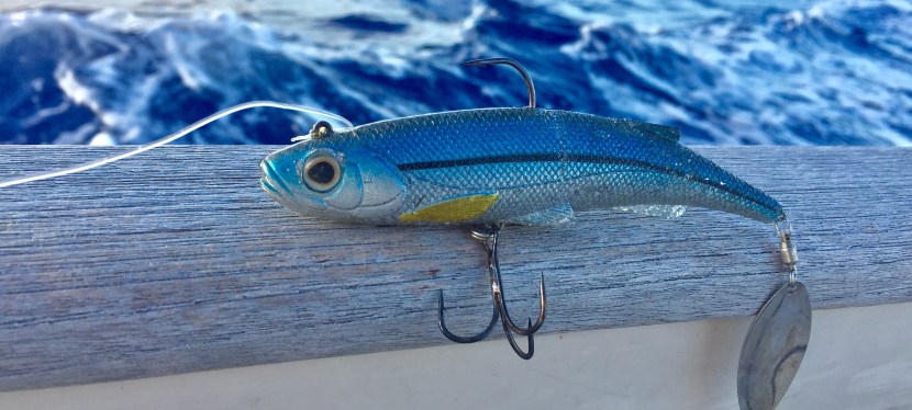 Lisbon to Madeira – 2nd&nbsp;day