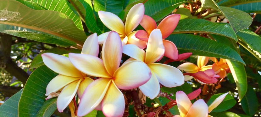 Weiter Richtung Süden