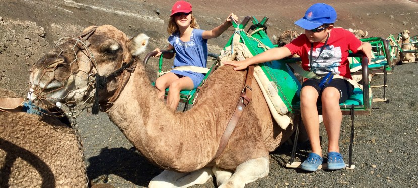 Auf dem Wüstenschiff über den&nbsp;Vulkan