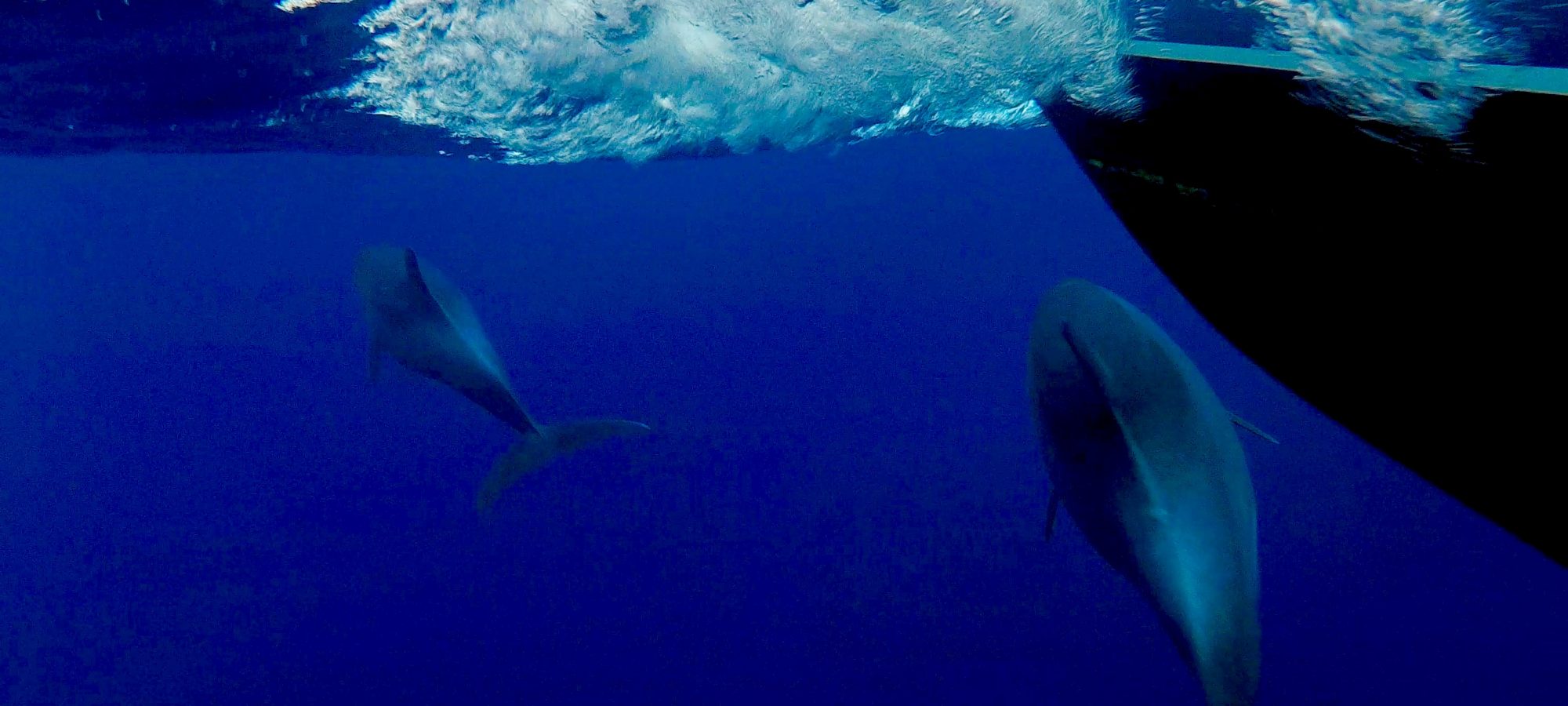 Atlantic accomplished. Twice.