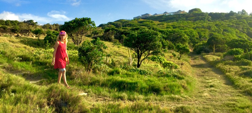 Privatinsel Mustique