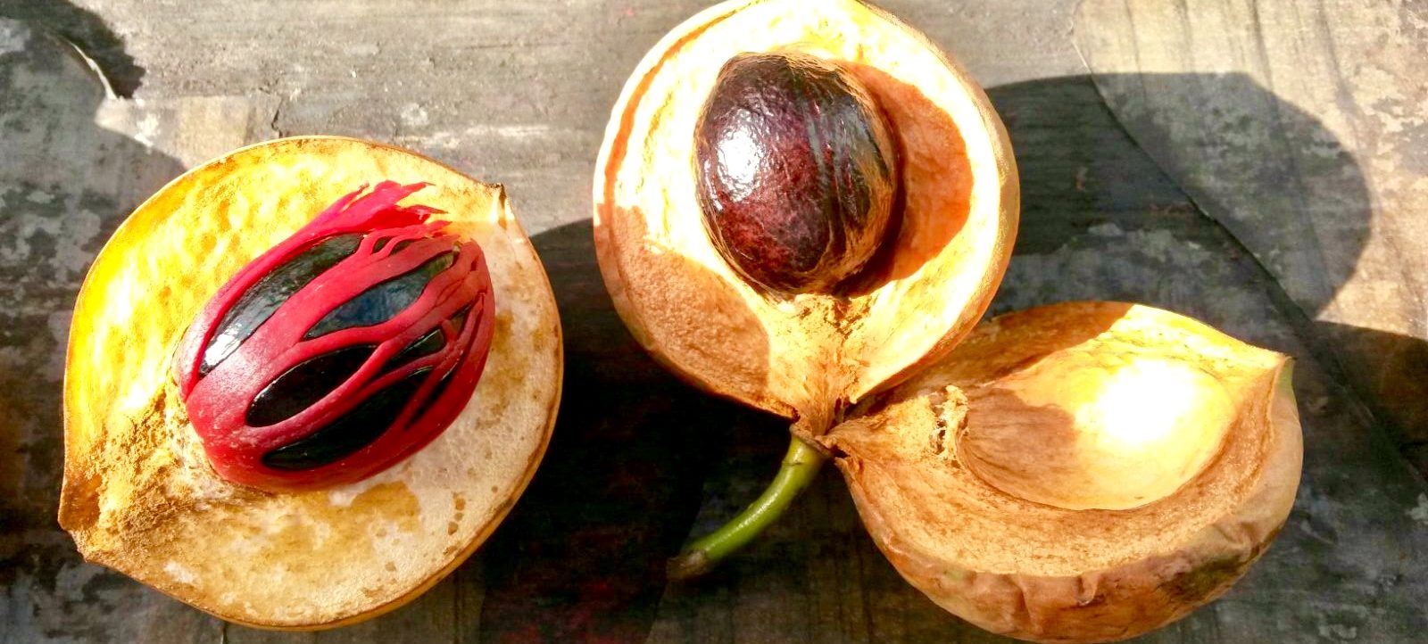 Atlantic accomplished. Twice.